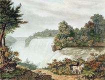 Niagara Falls, from Goat Island von William James Bennett