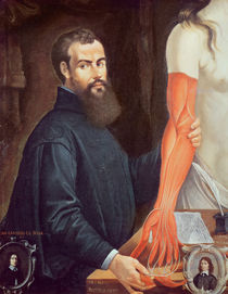 Andreas Vesalius by Pierre Poncet