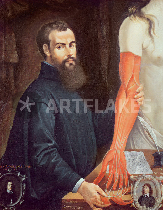 "Andreas Vesalius" Picture art prints and posters by Pierre Poncet