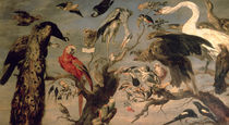 The Bird's Concert by Frans Snyders or Snijders