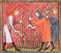 Ms 1044 f.120 Cutting Trees by French School