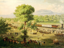 Railway in the Valley of Mexico von Luiz Coto