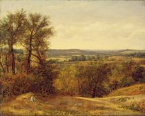 Dedham Vale, c.1802 by John Constable
