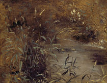 Rushes by a Pool, c.1821 by John Constable