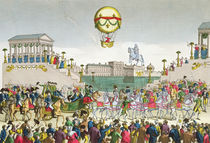 Entry into Paris of Louis XVIII 4th May 1814 von French School