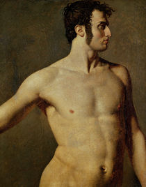 Male Torso, c.1800 by Jean Auguste Dominique Ingres