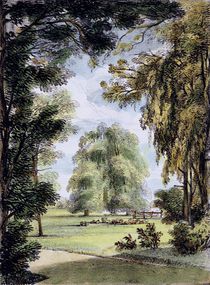 The Sister Trees, Kew Gardens by George Ernest Papendiek