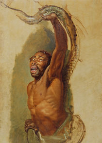 Man Struggling with a Boa Constrictor von James Ward