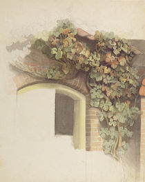 Grapevines on a Brick House by Johann Martin Gensler