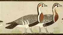 Meidum geese, from the Tomb of Nefermaat and Atet by Egyptian 4th Dynasty