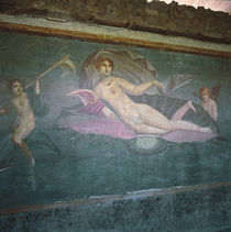 Venus Sailing the Sea von Roman