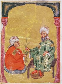 Ahmet III, 2127 Illustration from 'De Materia Medica' by Dioscorides von Mesopotamian