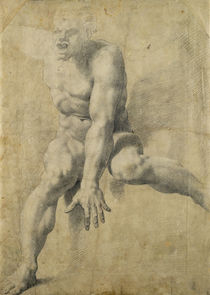 Polyphemus by Pellegrino Tibaldi