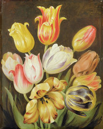 Flower Study by Johann Friedrich August Tischbein