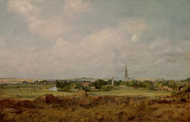 View of Salisbury von John Constable