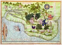 Fol.44v Map of Brasil, from 'Cosmographie Universelle' von Guillaume Le Testu