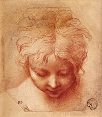 Study of a Head von Parmigianino