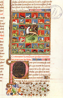 Ms 399 fol.241 The Properties of Animals by French School