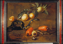 Still Life of Fruits from Surinam and Reptiles by Dirk Valkenburg