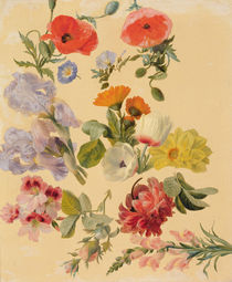 Studies of Summer Flowers von Jacques Laurent Agasse