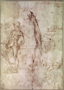Study for David von Michelangelo Buonarroti