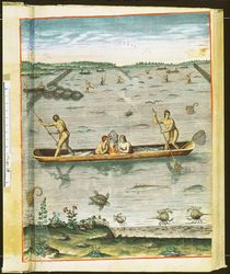 How the Indians Catch their Fish by John White