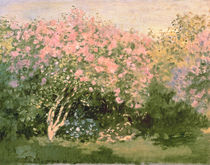 Lilac in the Sun, 1873 by Claude Monet