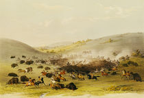 Buffalo Hunt, Surround, c.1832 by George Catlin