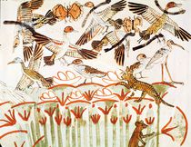 Fishing and fowling in the marshes by Egyptian 18th Dynasty