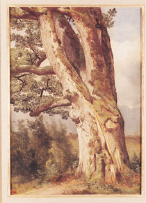 The Oak von Alexandre Calame