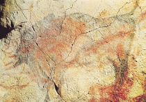 Bison, from the Caves at Altamira von Prehistoric