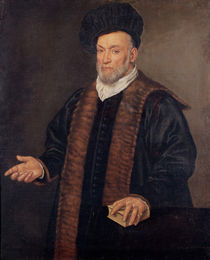 Portrait of a Doctor von Francesco Montemezzano