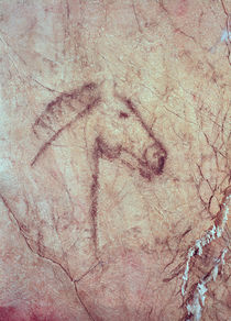 Head of a Horse, from the Cueva de la Pena de Candamo San Roman von Paleolithic