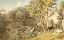 Canonteign, Devon, 1804 by John White Abbott