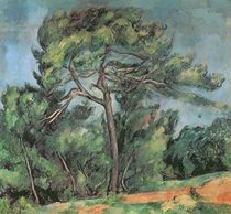 The Large Pine, c.1889 von Paul Cezanne