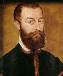 Portrait of a Man with a Beard or by Corneille de Lyon