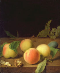 Fruit Still Life, 1730 by Balthasar Denner