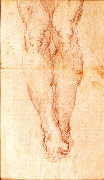Study for a Crucifixion von Michelangelo Buonarroti