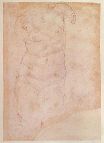 Study of a Female Nude von Michelangelo Buonarroti