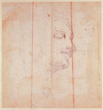 Study for the Head of the Libyan Sibyl by Michelangelo Buonarroti