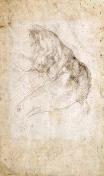 Study for The Creation of Adam by Michelangelo Buonarroti