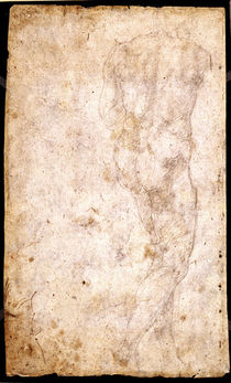 Study of a Male Nude von Michelangelo Buonarroti