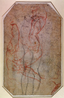 Study of Figures and the Creation of Adam von Michelangelo Buonarroti