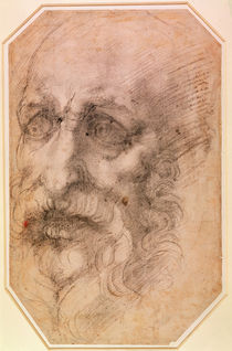 Portrait of a Bearded Man von Michelangelo Buonarroti