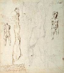 Study of the Christ Child and an Anatomical Drawing with Notes von Michelangelo Buonarroti