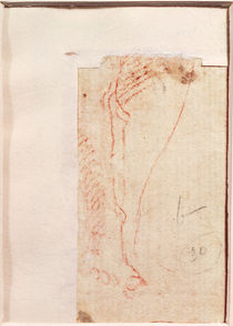 Study of Christ's feet nailed to the Cross von Michelangelo Buonarroti