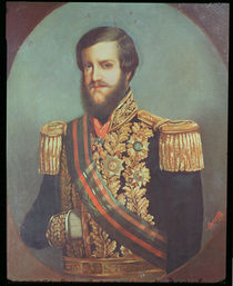 Pedro II Emperor of Brazil von Luis de Miranda Pereira Visconde de Menezes