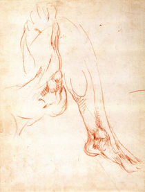 Study of a lower leg and foot von Michelangelo Buonarroti