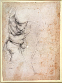 Study of torso and buttock von Michelangelo Buonarroti