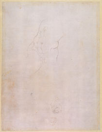 Study of a male torso by Michelangelo Buonarroti